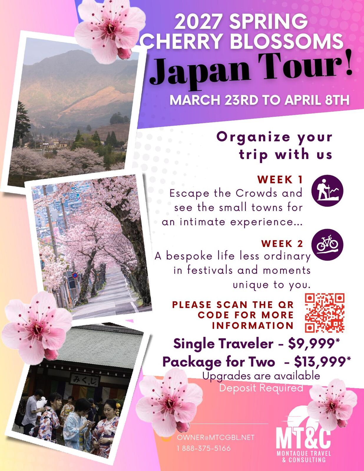 2027 Spring Cherry Blossoms flyer