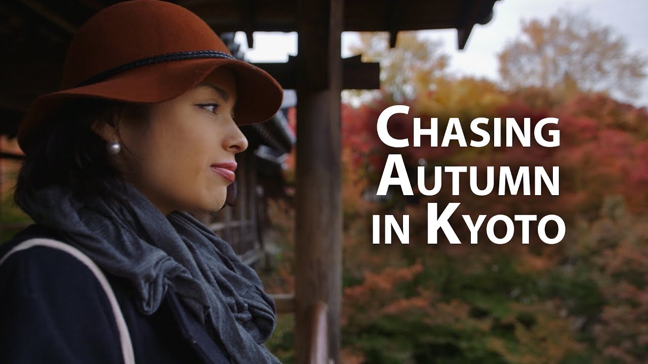 A stylish traveler surrounded by Kyoto's autumn colors