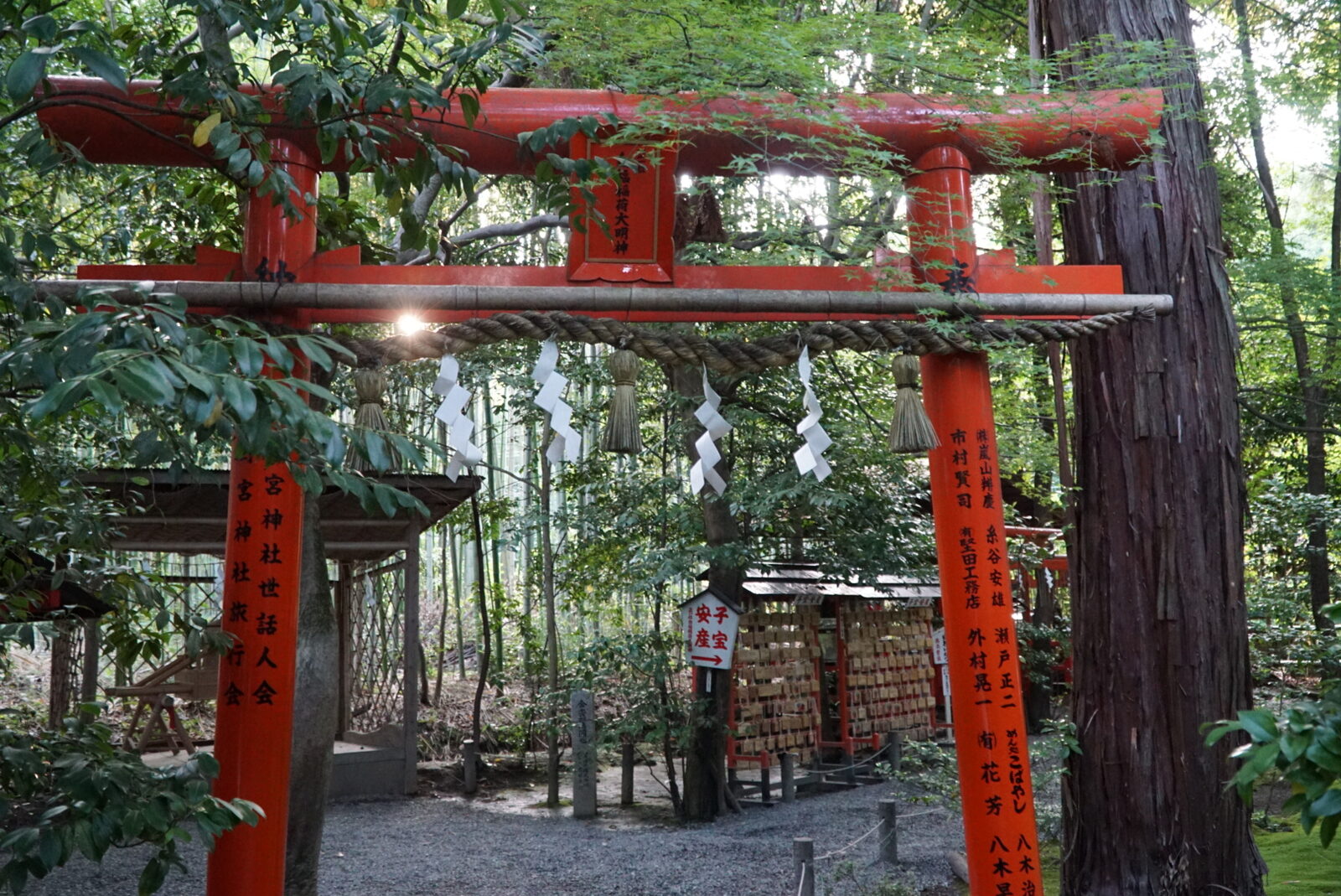 Arashiyama Bamboo Grove